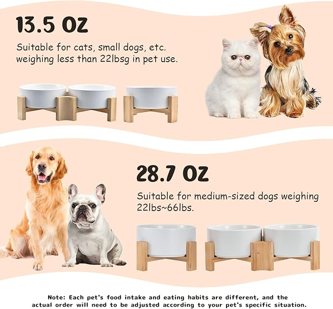 SPUNKYJUNKY 15° Slanted Ceramic Dog and Cat Bowl with Wooden Stand, Tilted Bulldog Food and Water Bowl No Slip Non-Spill for Cats Medium Dogs Big Face Pets 28.7 OZ (3.6 Cups, White × 2)