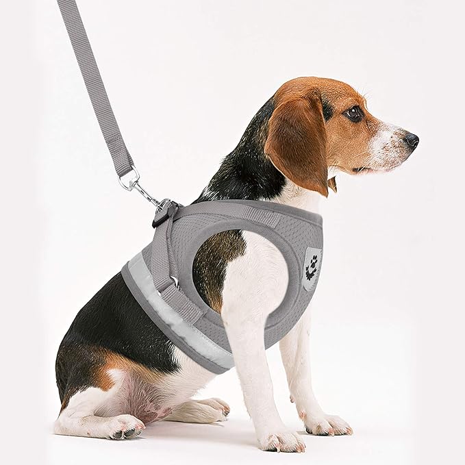 Cat Harnesses and Puppy Harness with Leashes Set, Escape Proof Cat Harness, Adjustable Reflective Soft Mesh Vest Fit Puppy Kitten Rabbit Ferrets's Outdoor Harness
