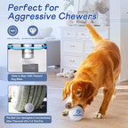 Durable Dog Balls - Tough Chew-Resistant TPU Fetch Toys for Aggressive Chewers, Puppies to Large Breeds - Floating Water & Dental Teeth Cleaning Balls (2.5 Inch,3-Pack, White)