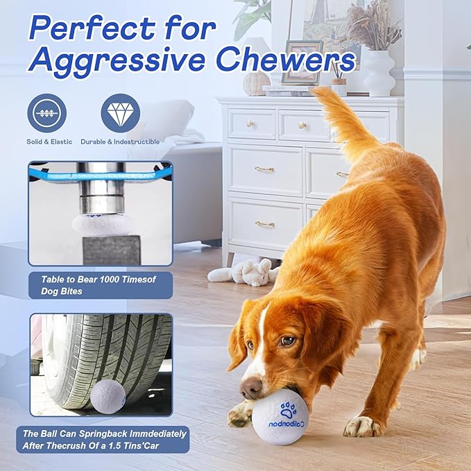 Durable Dog Balls - Tough Chew-Resistant TPU Fetch Toys for Aggressive Chewers, Puppies to Large Breeds - Floating Water & Dental Teeth Cleaning Balls (2.5 Inch,3-Pack, White)