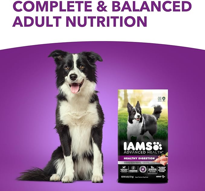IAMS Advanced Health Healthy Digestion Adult Dry Dog Food with Real Chicken, 13.5 lb. Bag