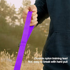 Dog/Puppy Obedience Recall Training Agility Lead - 30ft Long Training Leash，3/4in Wide - Great for Play, Camping, or Backyard（Purple 30 Feet