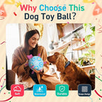 QDAN Dog Birthday Toys, Soccer Ball for Dogs with Straps, Dog Ball Toy, Puppy Birthday Gifts, Durable Herding Balls for Medium Large Dogs (8 inch)