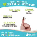 Raw Paws Freeze Dried Dog Food & Cat Food - Chicken Recipe, 16-oz - Made in USA - Freeze Dried Chicken, Raw Food for Dogs and Cats - Grain, Soy, Corn- Free