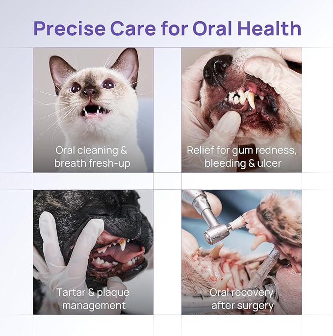 HICC PET Teeth Cleaning Gel for Dogs and Cats, Vet-Recommended Dog Dental Care Toothpaste Alternative for Breath Freshener, Ggingivitis Treatment, Prevent Infection, Plaque & Tartar Remover, 2 Fl Oz