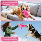 Dog Toys Plush, Squeaky Stuffed Dog Toy, Rainbow Pig Dog Toys for Small Medium Breeds, Soft DogToy Plush, Puppy Teething Dog Toy, Interactive Dogs Toy for Indoor Dogs(Pink)