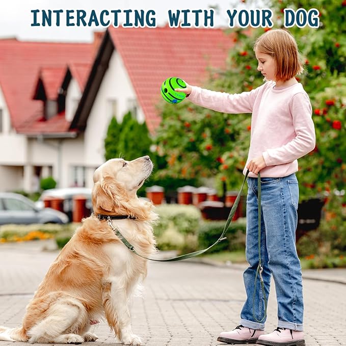 HYQ Interactive Squeaky Dog Ball - 2.75 Inch Toy for Small, Medium, Large Dogs and Puppies to Keep Them Busy
