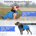 Dog Coat, Small Medium Dog Jacket, Windproof Dogs Puffer Jacket, Fleece Lined Warm Dogs Winter Coat with Harness Hole (Blue L)