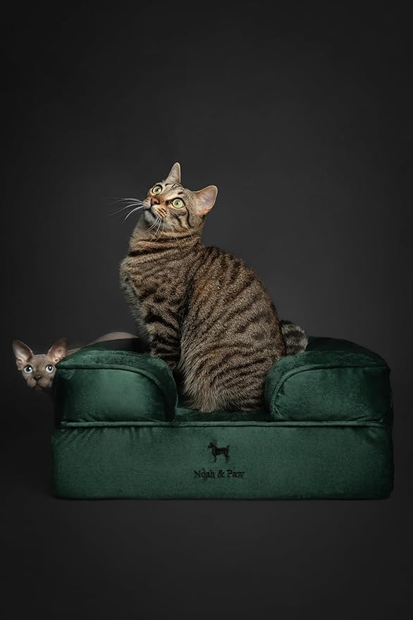 NOAH & PAW Small Dog Bed, 20x15x8 Inch, Cat Bed for Indoor Cats, Orthopedic Eggshell Memory Foam Infused with Cooling Gel, Waterproof Inner Cover Machine Washable (Velvet Collection)