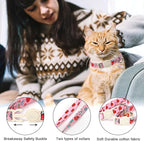 ARING PET 2 Pack Valentine's Day Cat Collars-Cute Heart Cat Collar Breakaway with Bell&Pendant, Adjustable Valentine Kitten Collars with Safety Buckle for Girl and Boy Cats