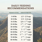 360 Pet Nutrition Freeze-Dried Raw Dog Food – Multi-Protein with Beef, Chicken, Fish, Liver & Organs, High Protein, Omega-3s, Fruits, Veggies & Superfoods, Grain-Free, No Fillers, 5 oz – Made in USA