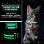 Pawtitas Glow in The Dark Cat Collar Set of 2 with Safety Buckle and Removable Bell Cat Collar Kitten Collar Teal Cat Collar + Orange Cat Collar
