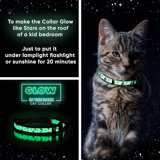 Pawtitas Pet Glow In The Dark Cat Collar with Safety Buckle and Bell Pink Lucky