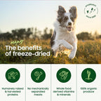 smallbatch Pets Freeze Dried Raw Dog Food, Beef Recipe, 14 oz, Organic High Protein Dog Food, Grain Free, Made in The USA, Humanely Raised Meat, Single Protein, for Picky Eaters, Hydrate & Serve