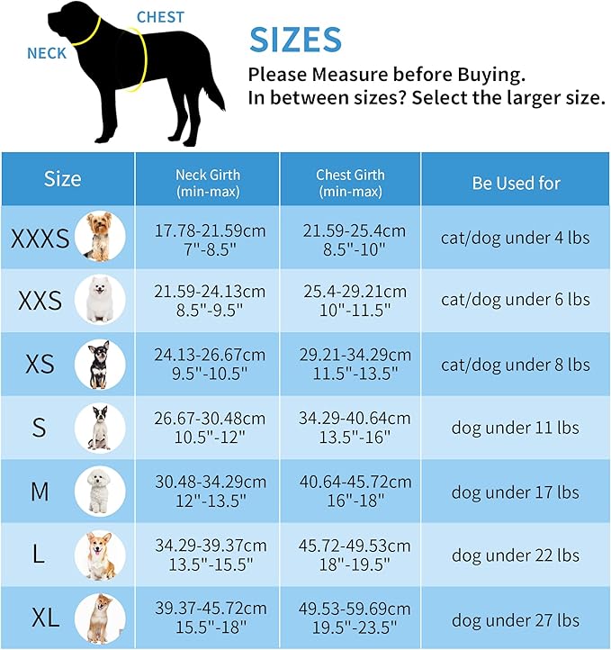 AIITLE Small Dog Harness with Leash, Breathable Mesh Vest, Reflective No-Pull Pet Harness for Outdoor Walking, Camping for Small Dogs, Cats, Blue XXS