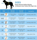 AIITLE Small Harness for Puppy with A Leash - Summer Dog Vest Harness with Super Breathable Mesh, Reflective No-Pull Pet Harness for Outdoor Walking, Camping for Small Dogs, Cats Pure Blue XXS