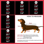 DORA BRIDAL Dachshund Coat, Fleece Lined Dog Winter Coat, Warm Dog Coats with Reflective Strips, Adjustable Waterproof Pet Jacket Clothes, L