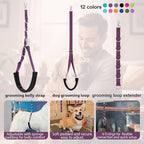 Dog Grooming Belly Straps Sky Blue Pet Grooming Supplies 3 Sets Professional Dogs Belly Band Pet Dogs Groomer Extension Strap Table Arm Loop Extender for Small Medium Large Pets (Sky Blue)