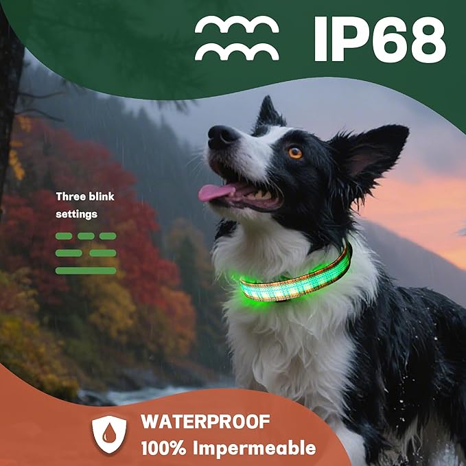 DOGWONG LED Dog Collar - Fall Orange Plaid Heavy Duty Light up Dog Collars - Rechargeable Waterproof - Lighted Dog Collars for Night Walking, Hiking, Camping(Orange Plaid,S)