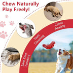Caterpillar Dog Chew Toys for Aggressive Chewers, Tough Indestructible Squeaky Dog Toy with Beef Flavor Nylon Rubber for Large Medium Dogs to Keep Them Busy and Reduce Boredom (Red)