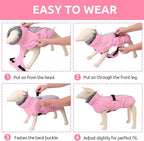 Queenmore Winter Dog Jackets, Thick Dog Coats for Small Pets Winter, Warm Reflective Coat, Thick Waterproof Puppy Coats, Pink, S