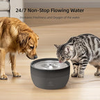 Cat Water Fountain: 101.4oz/3L Ultra Silent Water Fountain for Dogs and Cats Drinking with 2 Filters, Designed Automatic Cat Water Dispenser Easy Clean for Cats Indoor, Black