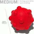 Playology Dog Toys | Puppy Toy Teething Ball Designed for Young & Active Dogs | Medium Beef Scented Toy Made from Non Toxic Materials