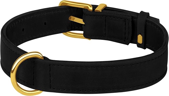 Leather Dog Collar - Heavy Duty Adjustable Soft Padded Pet Collars for Small Medium Large Dogs Breed - Black Green Brown Pink Red Blue (Black, L, 15"-19" Neck Fit)
