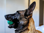 Chew King Fetch Balls Extremely Durable Natural Rubber Toy 2.5 inch, 8-pack (CM-0264-CS01)