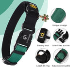 DOGWONG LED Dog Collar - Heavy Duty Light up Collars - Rechargeable Waterproof - Lighted Dog Collar for Night Walking, Hiking, Camping(Green,L)