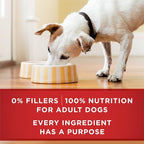 Purina ONE Classic Ground Chicken and Brown Rice Entree Adult Wet Dog Food - (Pack of 12) 13 oz. Cans