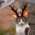 Christmas Halloween Pet Headband for Dog Cat Pet Elastic Band Adjustable,Costume Accessory for Cats and Kittens Comfortable Non-deformable for Holiday Season and Photography - Size L