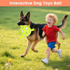 Dog Balls Toys, Durable Dog Soccer Ball with Straps, Herding Ball, Dog Toys Outdoor, Fun Birthday Gift for Medium Large Dogs, 8 Inch