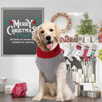 PETCARE Dog Christmas Sweater Ugly Elf Clown Cat Sweater Vest Pet Jumper Grey Green Holiday Dog Clothes Puppy Sweaters for Small Medium Large Dogs Cats Fall Winter Outfits Xmas Dogs Costume,Medium