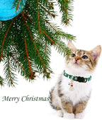 Christmas Cat Collar Set - Xmas Cat Adjustable Breakaway Collars with Bells & Charms 4Pcs Per Set
