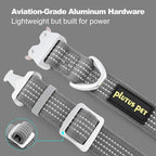Plutus Pet Reflective Dog Collar with Aviation Aluminum Buckle, Neoprene Padded for Comfort, Lightweight, Heavy Duty Nylon Collar for Puppy Small Medium Large Dogs (Gray, S)