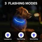 Light Up Dog Collar, Adjustable USB Rechargeable Glow in Dark Dog Collar ，Waterproof Dog Collars for Small Dogs (Blue, Small)