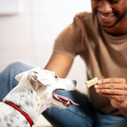 Milk-Bone Original Dog Treats Biscuits for Medium Dogs, 24 Ounces (Packaging May Vary)