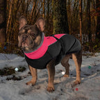 IECOii Extra Warm Dog Coat with Reflective Adjustable Fleece Turtleneck for Cold Weather in Small, Medium, Extra Large Sizes