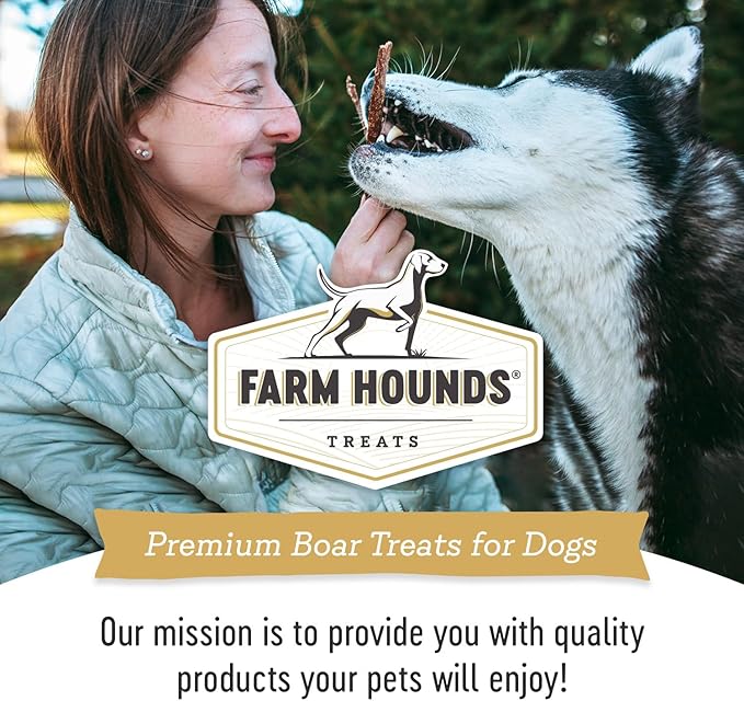 Farm Hounds - Boar Strips - Premium Natural Jerky for Dogs - from 100% Humanely Raised Boar - Break-to-Size - Great for Training & Treats - No Added Fillers - Made in USA - 4.5 oz - 2 Pack