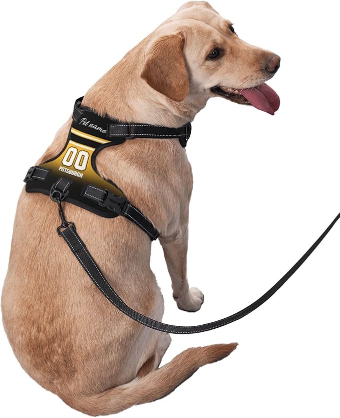 Custom Pittsburgh Dog Harness with Reflective Stripes Personalized Name and Number Dog Vest Harness with Pet Traction Rope for Small Medium Large Dog