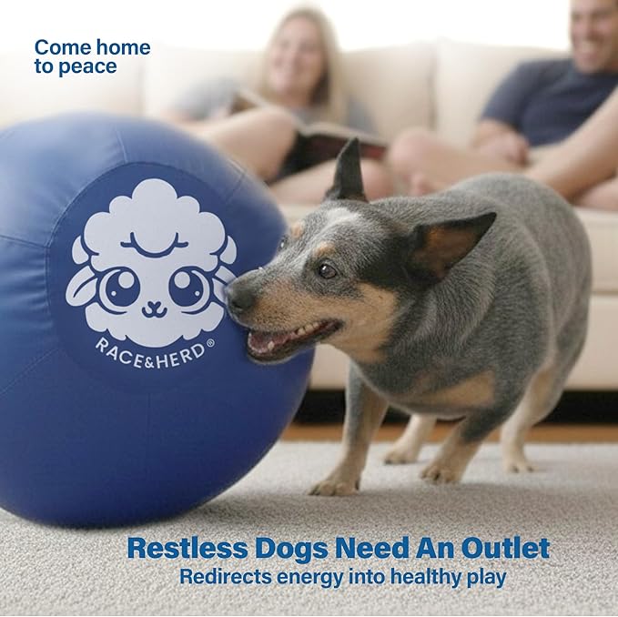 Race&Herd 18" Original XXL Herding Ball for Dogs - Giant Herding Dog Ball Australian Shepherds, Herding Toys, Dog Training Toy for Small Breeds, Dog Toy for Outdoor Play (for Small Dogs, Blue)