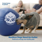 Race&Herd 18" Original XXL Herding Ball for Dogs - Giant Herding Dog Ball Australian Shepherds, Herding Toys, Dog Training Toy for Small Breeds, Dog Toy for Outdoor Play (for Small Dogs, Blue)