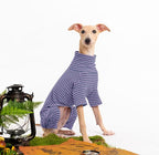 Dog Sweaters for Small Dogs Girls Boys, Striped Pet Sweaters for Fall Winter Dog Clothes, Turtleneck Pullover Knitwear for Small Medium Large Dogs