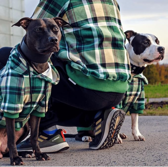 Spark Paws Dog Hoodie – Premium Dog Sweater for Small, Medium, and Large Dogs | Warm Outfits for French Bulldogs, Pitbull, Puppy, Winter Jacket Alternative - Green Plaid - M