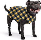 Goldpaw Stretchy Fleece Jacket for Small Dogs - Super Soft, Warm Dog Sweater - Pet Sweater Vest for Fall and Winter - Canine Clothes Made in The USA - Machine Washable - Gold Buffalo Check - Size 16