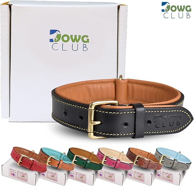 Leather Dog Collar for Medium Dogs, Black, 1 Inch Wide, Genuine Full Grain Leather, Heavy Duty with Soft Inner Padding, Comfortable and Durable (Medium (Fit Neck Size 14.5"-18.5"), Black)