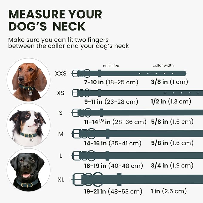 BronzeDog Rolled Leather Dog Collar with QR ID Tag, Adjustable Soft Round Collars for Small Medium Large Dogs Puppy (14" - 16" Neck Size, Denim)