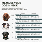BronzeDog Rolled Leather Dog Collar with QR ID Tag, Adjustable Soft Round Collars for Small Medium Large Dogs Puppy (16" - 19" Neck Size, Denim)