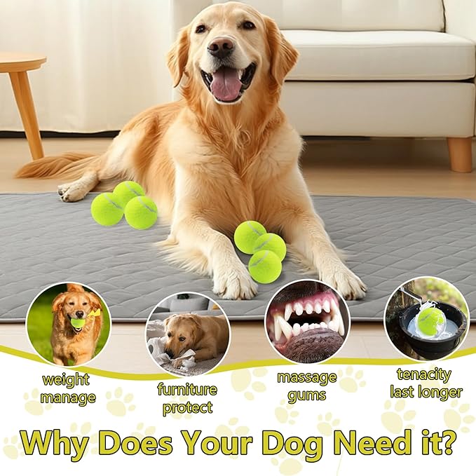 Swingers Squeaky Tennis Balls for Dogs,2.5 inch Training Tennis Balls,Exercise Ball for Pet Dog with Mesh Carry Bag Easy to Transport (Yellow, 24 Pack)
